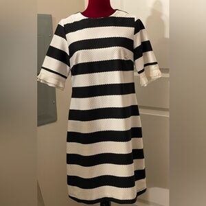 New York and Company Navy Blue and White Spring Dress Size M. GUC